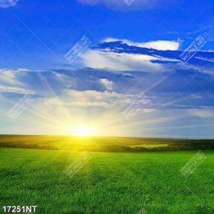 Tranh phong cảnh nghệ thuật đẹp