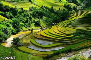 Tranh phong cảnh nghệ thuật đẹp