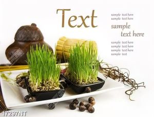 Tranh treo tường trang trí nghệ thuật