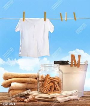 Tranh nghệ thuật đẹp nhất