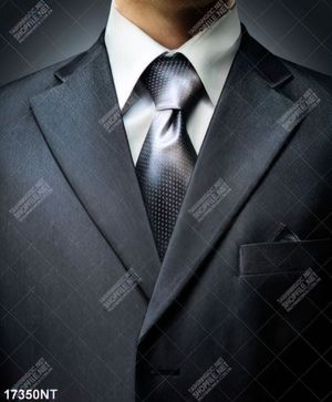 Tranh nghệ thuật trang trí tường