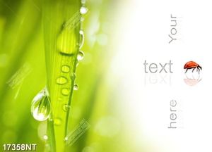 Tranh nghệ thuật in canvas chất lượng cao