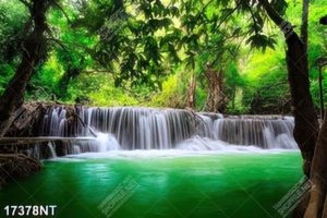 Tranh nghệ thuật trang trí tường