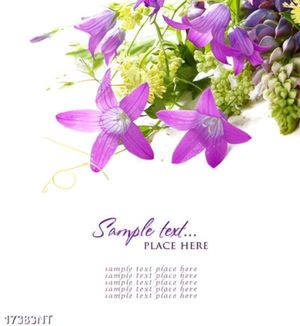 Tranh nghệ thuật in chất lượng cao
