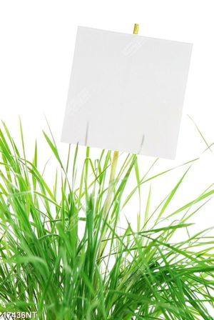 Tranh nghệ thuật đẹp nhất