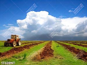 Tranh nghệ thuật in chất lượng cao