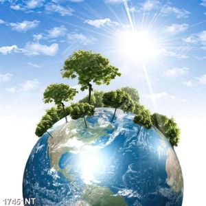 Tranh nghệ thuật trang trí tường