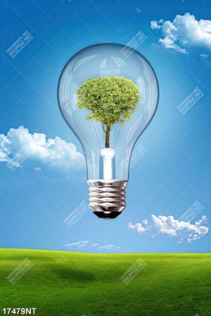 Tranh treo tường trang trí nghệ thuật