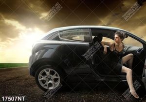 Tranh treo tường trang trí nghệ thuật
