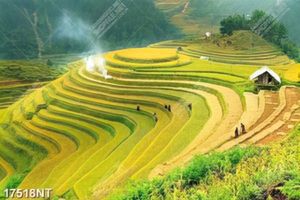 Tranh nghệ thuật trang trí tường