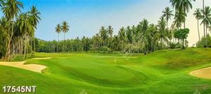 Tranh phong cảnh nghệ thuật đẹp