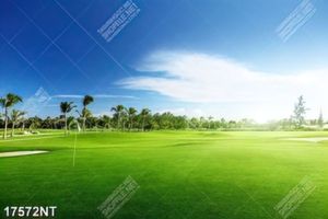 Tranh nghệ thuật in chất lượng cao