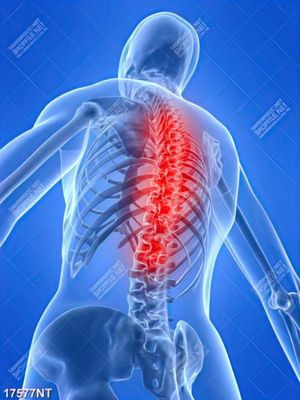 Tranh nghệ thuật trang trí tường