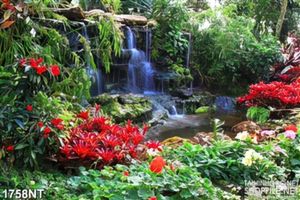 Tranh thác nước nhỏ bên hoa