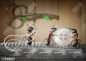 Tranh nghệ thuật trang trí tường