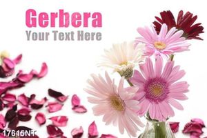 Tranh treo tường trang trí nghệ thuật