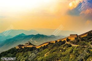 Tranh nghệ thuật in canvas chất lượng cao