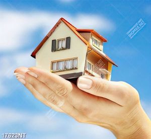 Tranh nghệ thuật trang trí tường