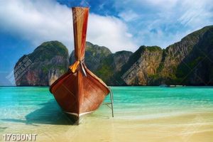 Tranh nghệ thuật trang trí tường