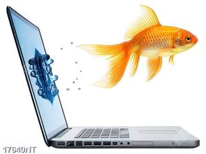 Tranh nghệ thuật trang trí tường