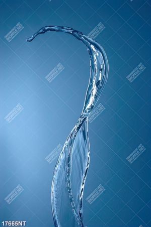 Tranh nghệ thuật trang trí tường