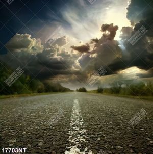 Tranh nghệ thuật trang trí tường