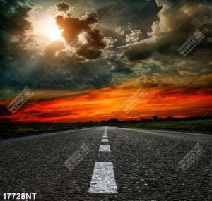 Tranh nghệ thuật trang trí tường