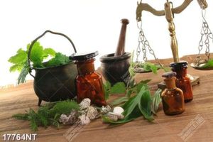 Tranh nghệ thuật in chất lượng cao