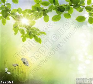 Tranh ánh nắng xuyên tán lá