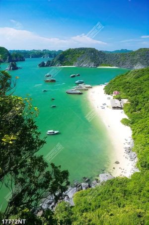 Tranh nghệ thuật đẹp nhất