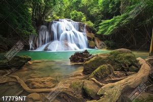 Tranh nghệ thuật đẹp nhất