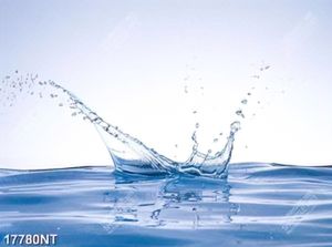 Tranh treo tường trang trí nghệ thuật