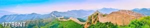 Tranh nghệ thuật trang trí tường
