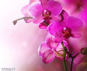Tranh nghệ thuật trang trí tường