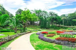 Tranh con đường hoa quanh co