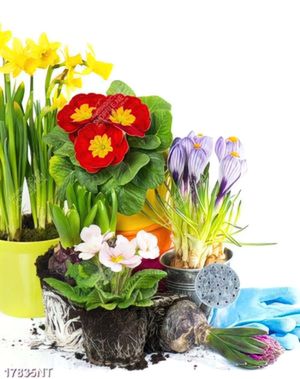 Tranh nghệ thuật đẹp nhất