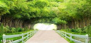 Tranh hàng trào chắn lũy tre