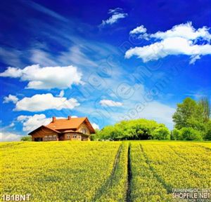 Tranh bầu trời xanh thẳm