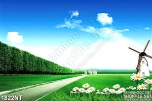 Tranh cối xay gió trên cánh đồng