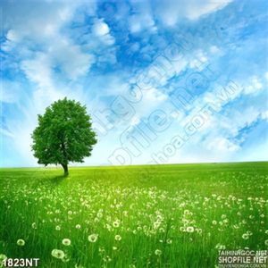 Tranh bầu trời trong xanh