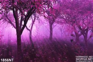 Tranh khu rừng tím in uv