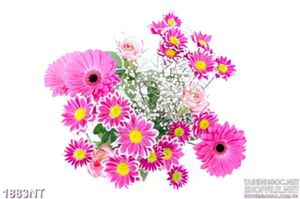 Tranh vẻ hoa nhí treo tường
