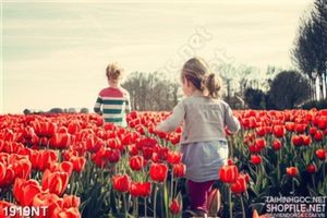 Tranh những đứa trẻ trên đồng hoa