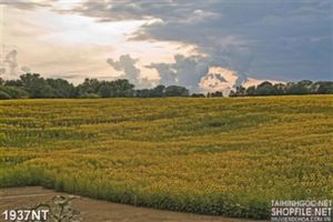 Tranh đồng hoa treo tường