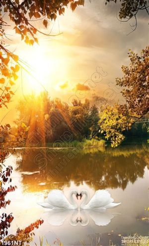 Tranh bình binh trên mặt hồ