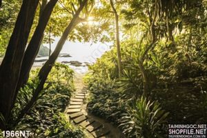 Tranh lối nhỏ dẫn ra biển 3d