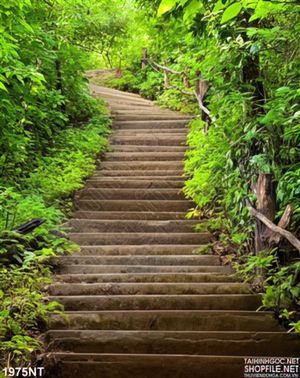 Tranh lối đi bậc thang đầy cây xanh