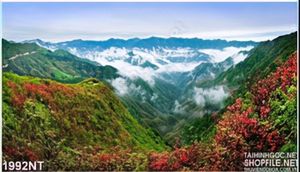 Tranh thung lũng đầy hoa và mây