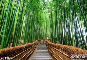 Tranh lối bậc thang dẫn vào rừng trúc