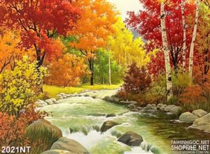 Tranh khe suối chảy qua rừng đỏ